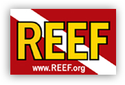 Reeflogo